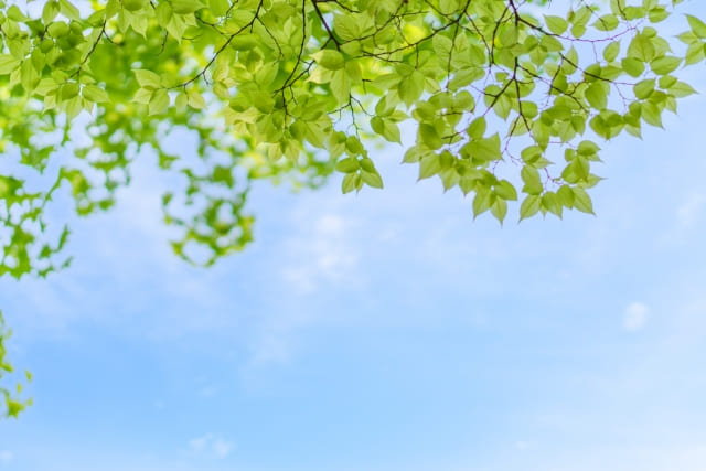 リラクゼーション